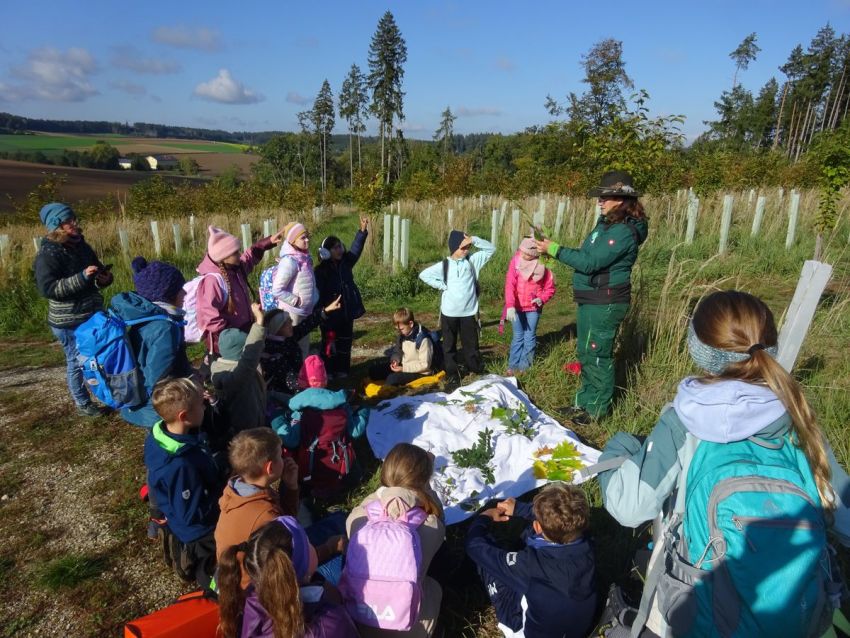 Eine Försterin erklärt Schülern auf einer aufgeforsteten Wiese verschiedene Baumblätter
