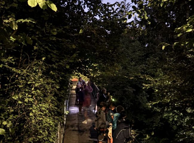 Schulkinder sind mit einer Taschenlampe in der Dämmerung unterwegs