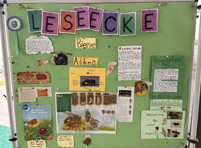 Leseecketafel bestückt mit Bildern und Texten