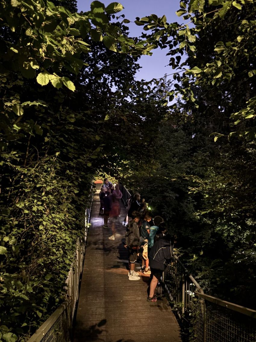 Schulkinder sind mit einer Taschenlampe in der Dämmerung unterwegs